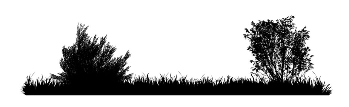 Vector silhouette of meadow on white background. Symbol of nature with grass.