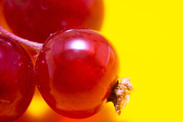 close up view of currants on a yellow background