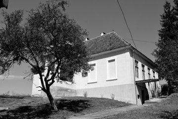 Typical rural landscape and peasant houses in  the village Alma Vii (Almen) Transylvania, Romania....