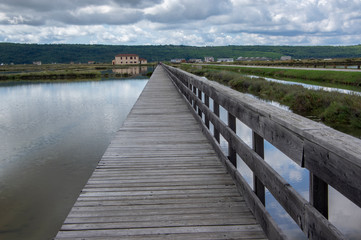Secovlje Saltworks largest Slovenian salt evaporation pond on Adratic sea, natural and industrial landscape in Slovenia Piran