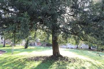 Parc de la mairie d'Ambronay - D&eacute;partement de l'Ain - R&eacute;gion Rh&ocirc;ne Alpes - France