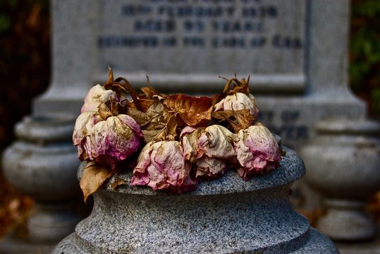 Close-Up Of Dry Flowers On Cemetery At Graveyard