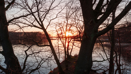 sunset on a lake through branches
