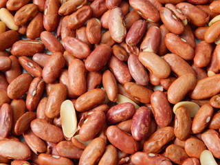 dry red beans closeup background
