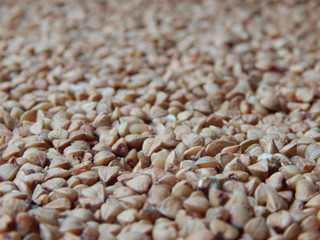 background of dry buckwheat closeup