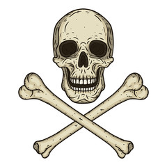Human skull with two crossed bones isolated on white background. Vector illustration in hand drawn style.