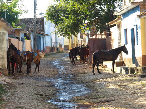Cowboys beim Viehtrieb auf Kuba 2017