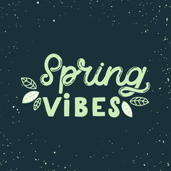 Hand drawn lettering card. The inscription: Spring vibes. Perfect design for greeting cards, posters, T-shirts, banners, print invitations.Monoline style.