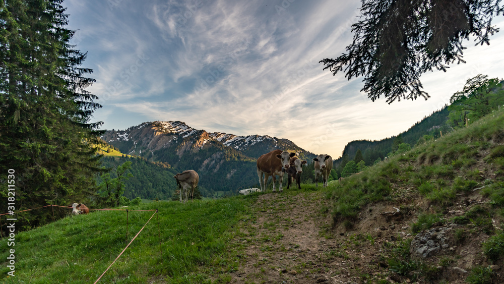 Poster mountain tour to the buralpkopf at the nagelfluhkette