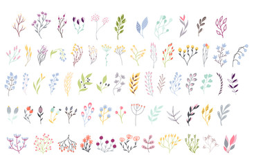 floral frame botanical party elements digital house 