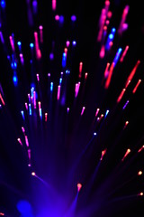 Fototapeta na wymiar Fiber optic lights multicolored