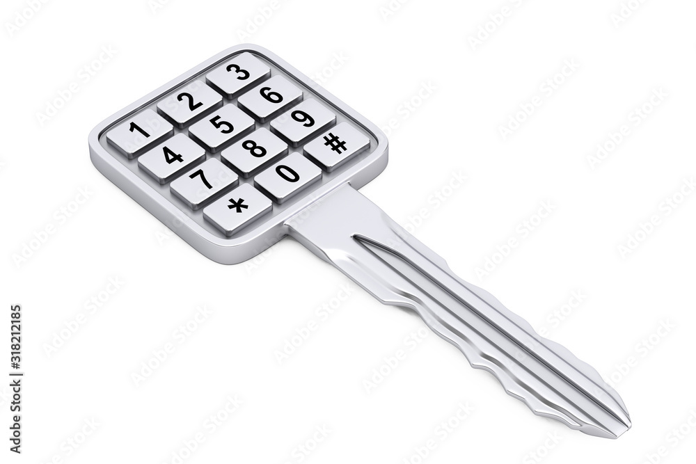 Leinwandbilder security concept. key with numbers pad. 3d rendering