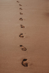 nature poster. foot track on the beach