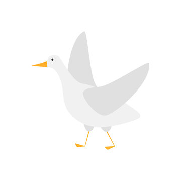 Goose bird in flat style isolated on white background. Funny cartoon character.