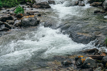 Beautiful landscape with stones in water riffle of mountain river. Powerful water stream among...