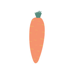 Cute hand drawn carrot isolated on white background.