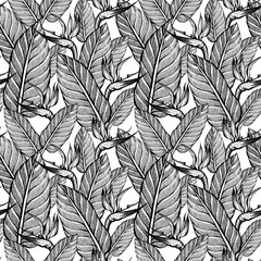 seamless pattern with leaves and strelitzia. Background with black and white exotic plants. 