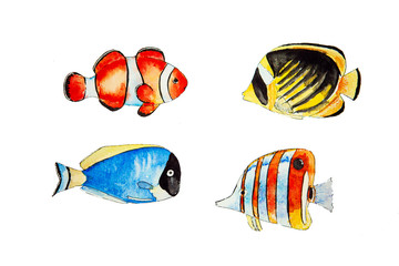 Set of tropical fishes isolated on white background. Illustration od multicolored coral fishes. Handmade watercolor drawing of beautiful colored fishes.