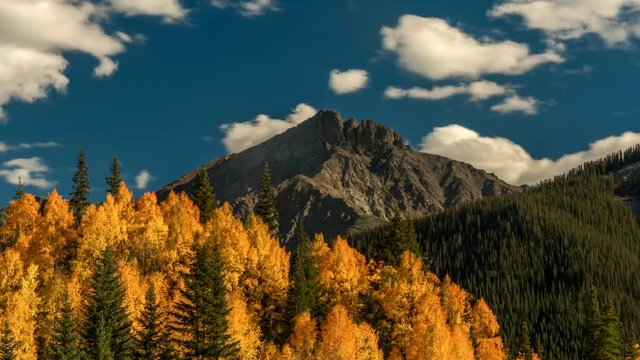 COLORADO,USA timelapse of Aspens North of Silverton, Route 550