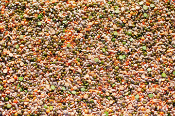 Background of a mixture of different grains and kernels (buckwheat, lentils, peas, pearl barley, mung bean, soybean)