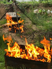 Grilling kebab on a picnic.