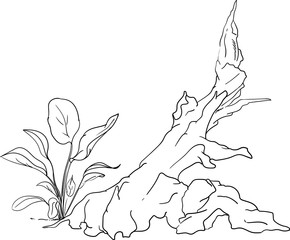 vector - fish tank - decoration