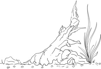 Fototapeta premium vector - fish tank - decoration