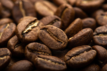 Coffee beans close-up background. Fresh roasted