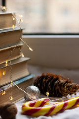 Fir cone near the stack of books. Old books. Close-up. Book pages