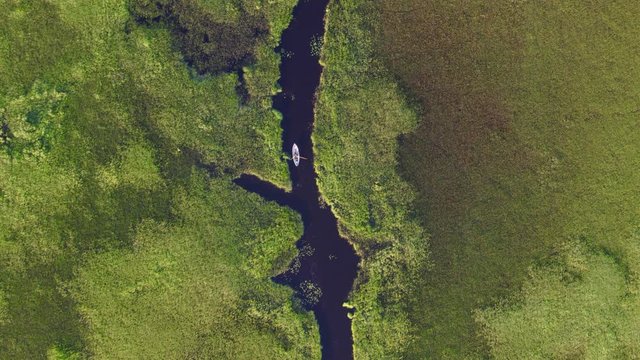 A row boat on a gorgeous small river surrounded by a lavish green swamp