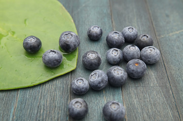 Blueberries and a large round green leaf