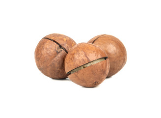 Three macadamia nuts