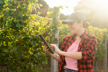 A woman farmer examines the vineyard and sends data to the cloud from the tablet. Smart farming and...