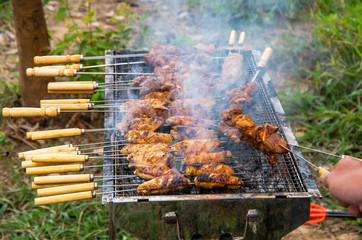 Delicious outdoor grilled chicken wings