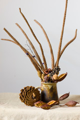 Autumn brown dry plants bouquet (still life) on light background. Front view.