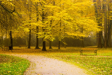 Park jesienią. © boguslavus