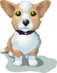 Sitting cheerful purebred dog in a collar. Welsh Corgi Pembroke vector illustration. Puppy sits. Smiling dog in cartoon style. Domestic animal. Clipart isolated on white background