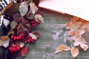  oldbook lies on a warm gray  table with a bookmark of autumn leaf, lying next to a warm cozy white scarf