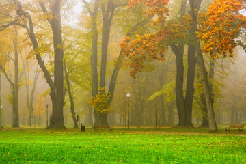 Park jesienią. © boguslavus