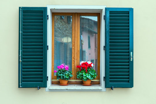 The shutters and cyclamens