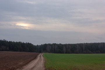 Obraz premium Natural background with winter fields without snow, a country road, haystacks, a forest on the horizon and a cloudy sky with spots of light.