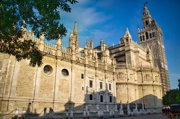 Fototapeta na wymiar Catedral de Sevilla y torre de la Giralda