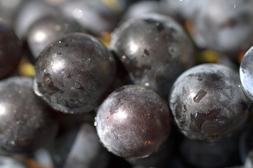 Close up shot of fresh red grapes