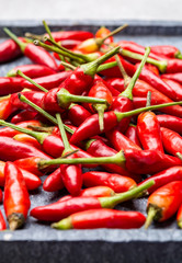 Fresh small red hot chili peppers on grey background