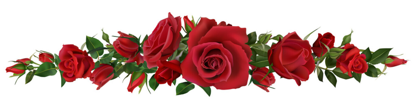 Red Rose Border Images Browse 102 496