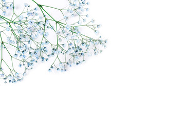 Beautiful flower background of blue gypsophila flowers. Flat lay, top view. Floral pattern. Copy space for text.