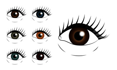 Eye Colour Collection Illustration Vector