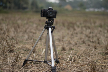 A camera with a tripod is standing in a paddy field over blurred background
