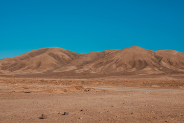 nature poster. Desert landscape.