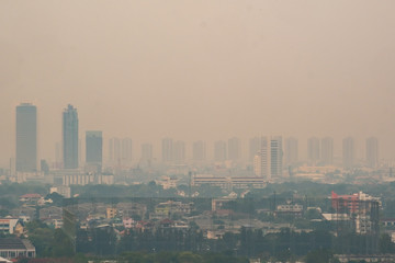 Smog and dust 2.5 pm in the city